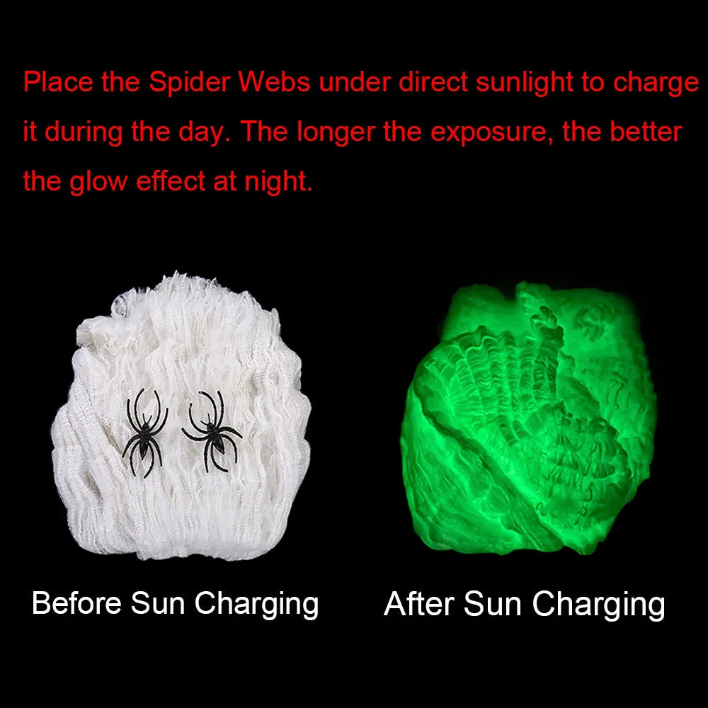 Glow-in-the-Dark Spider Web – white web before sun charging and green glowing web after sun charging