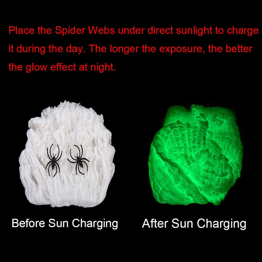Glow-in-the-Dark Spider Web – white web before sun charging and green glowing web after sun charging