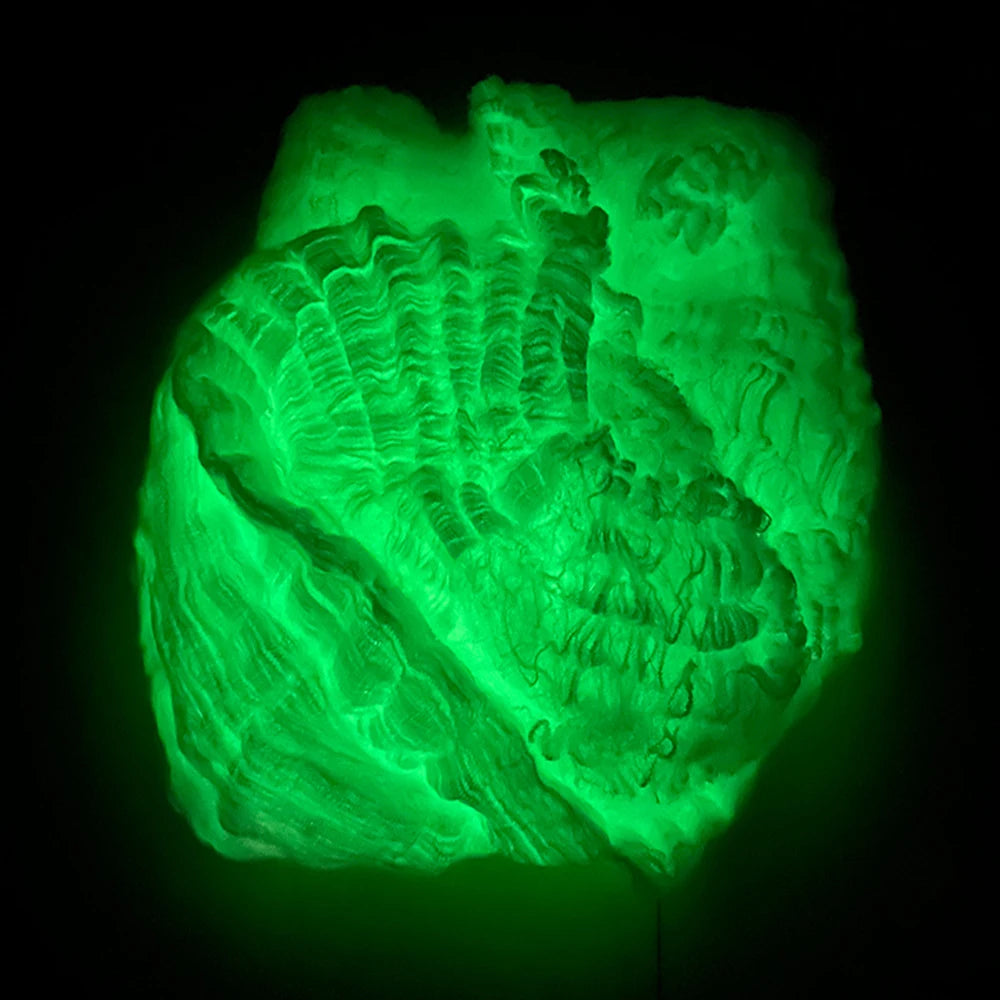 Glow-in-the-Dark Spider Web – a clump of web glowing green in the dark