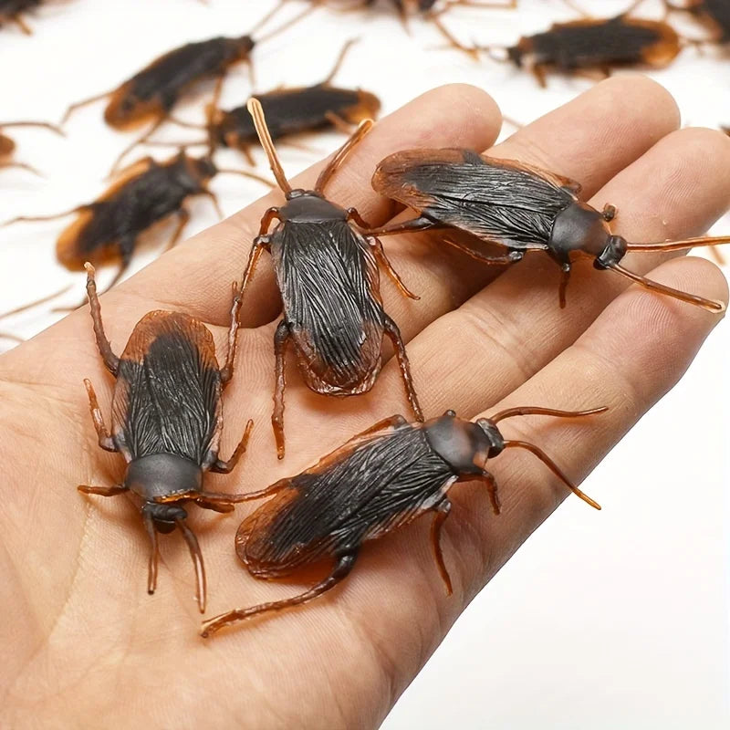Fake Bugs Prank Pack – hand holding four realistic fake cockroaches
