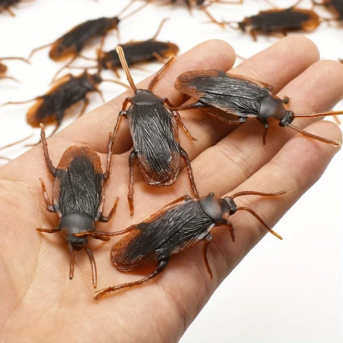 Fake Bugs Prank Pack – hand holding four realistic fake cockroaches