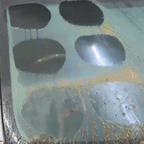 TGC Gear™ – Glass Film Remover